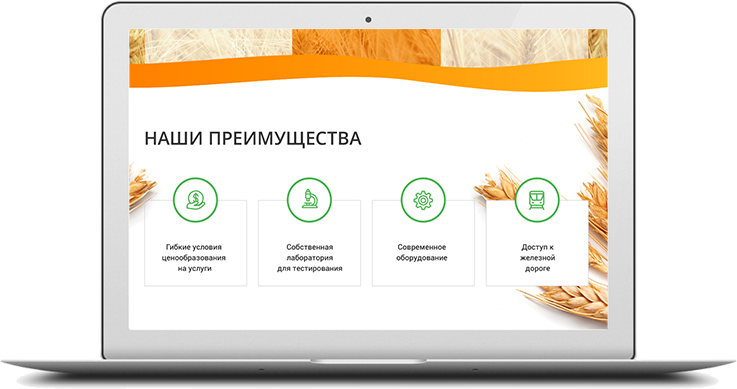 https://web4site.ru/wp-content/uploads/2018/06/project-desktop-img-5-737x389.png
